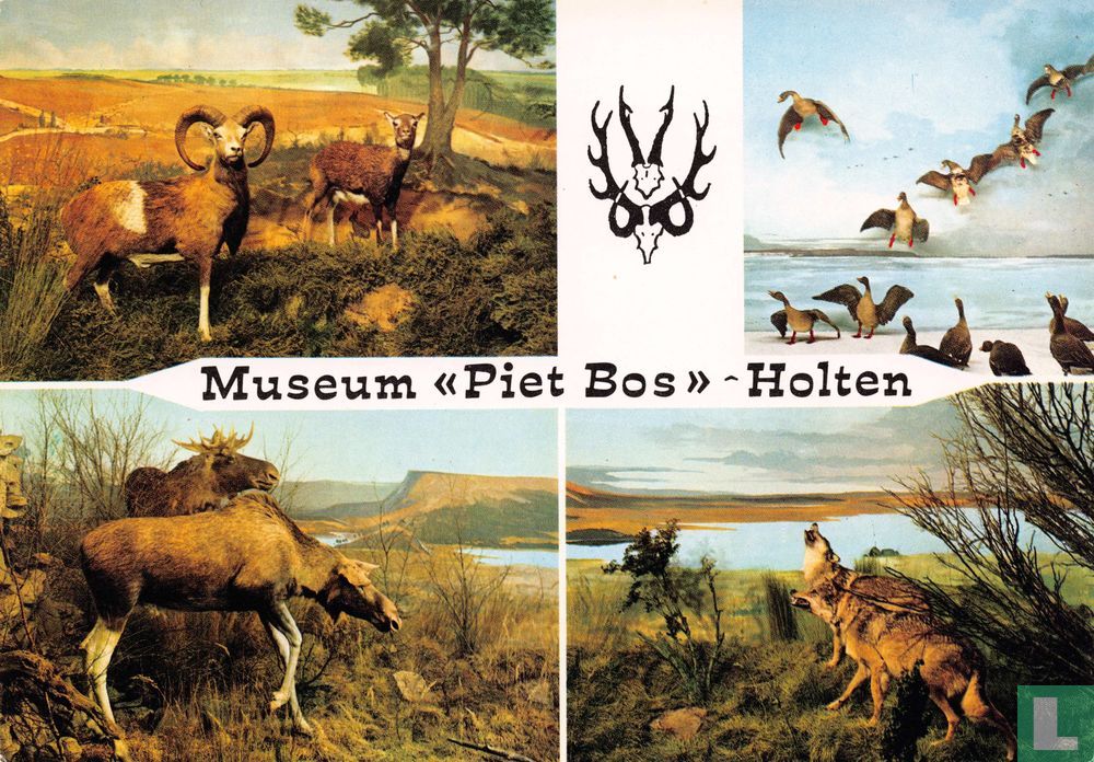 Museum <> Holten