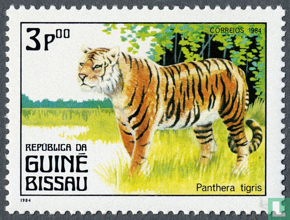 Faune - Carnivores