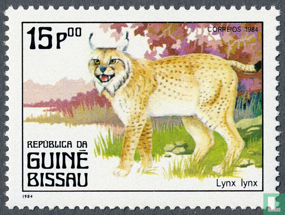 Faune - Carnivores