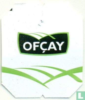 Papatya