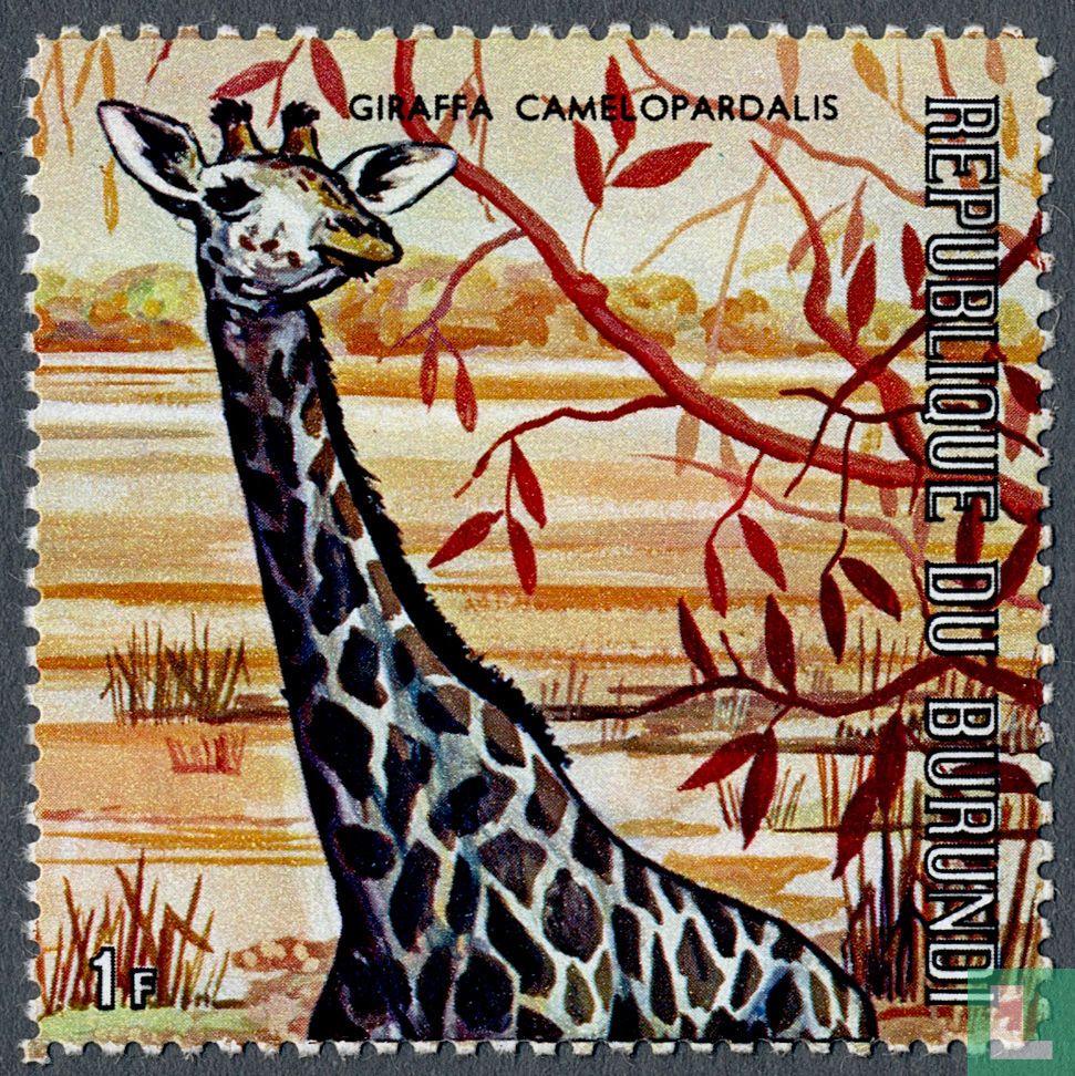 Giraffe