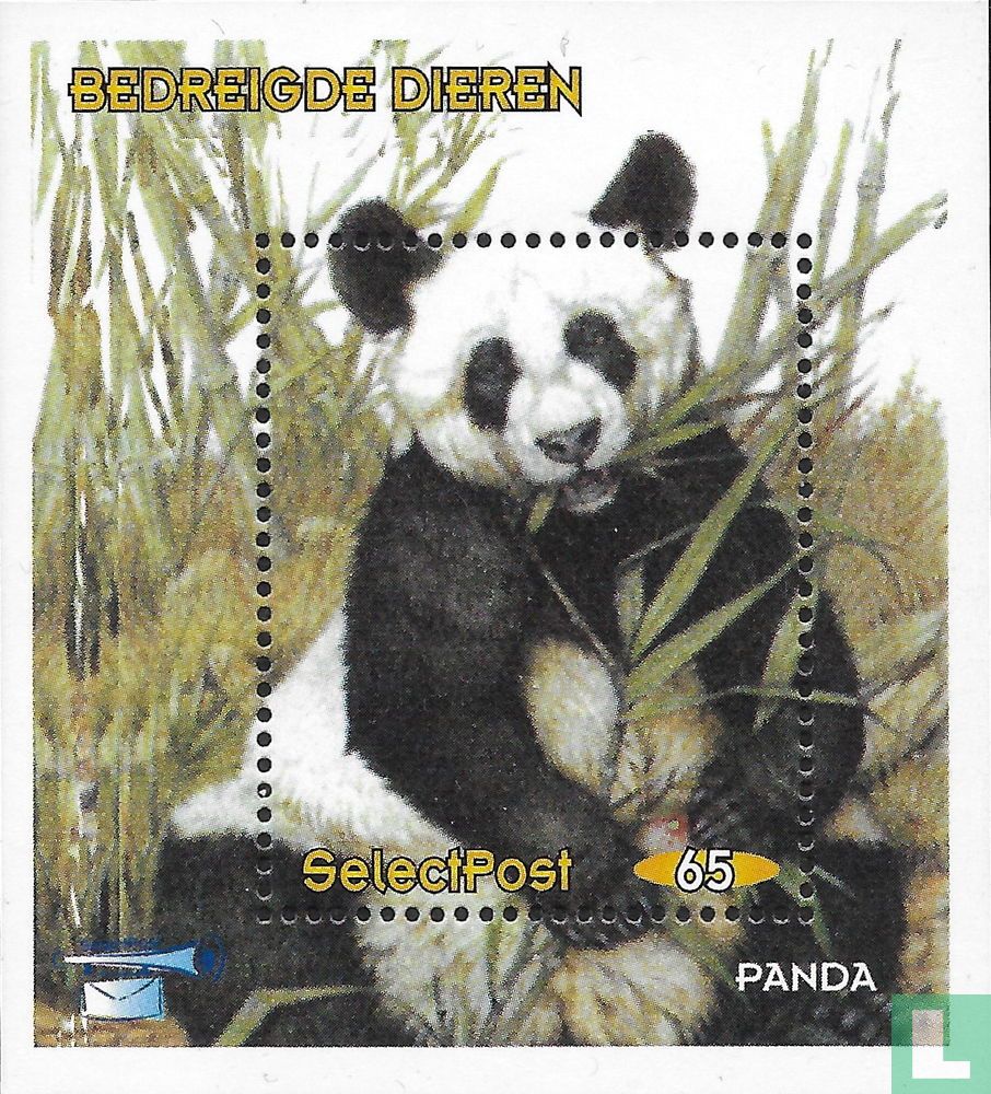 Animaux en danger : panda