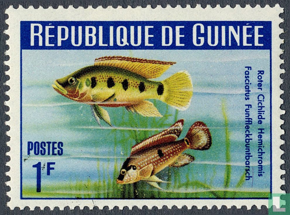Fish