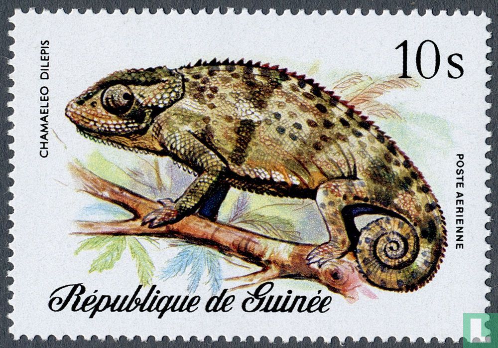 Reptilien 