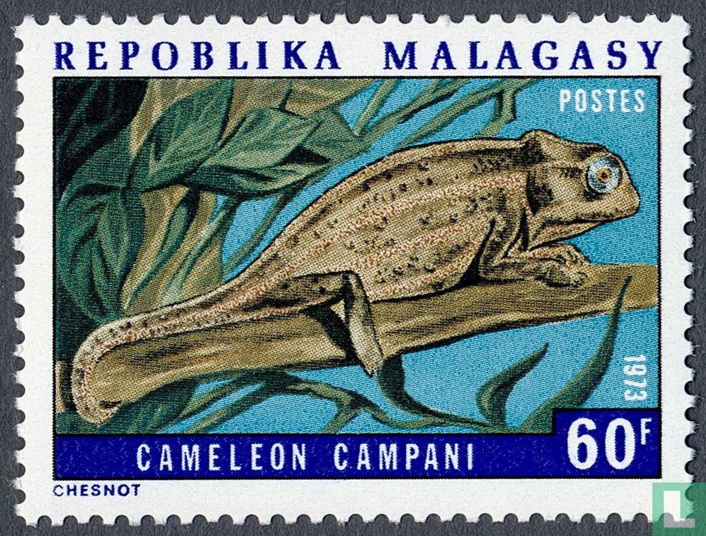 Chameleons