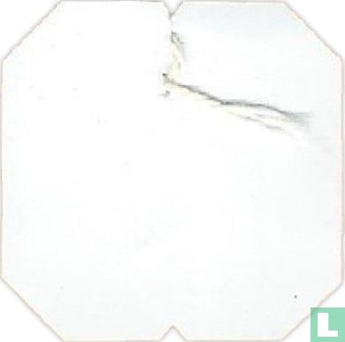 Scelta Verde Bio Logico