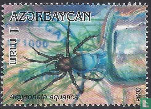 Wasserspinne