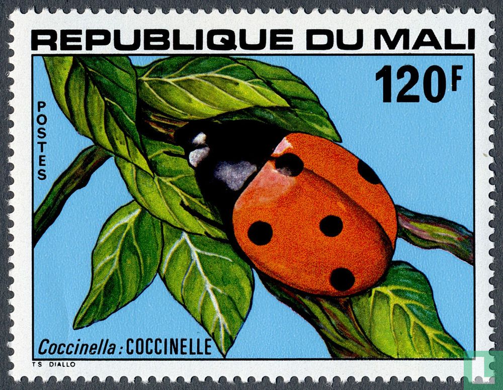 insectes