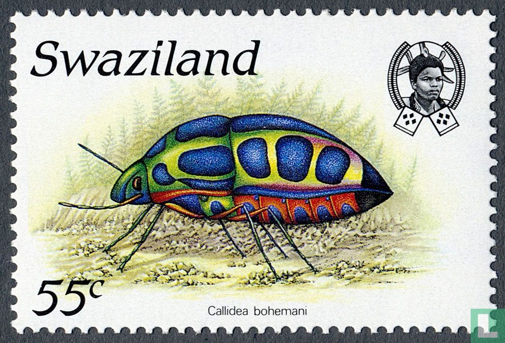 Insectes