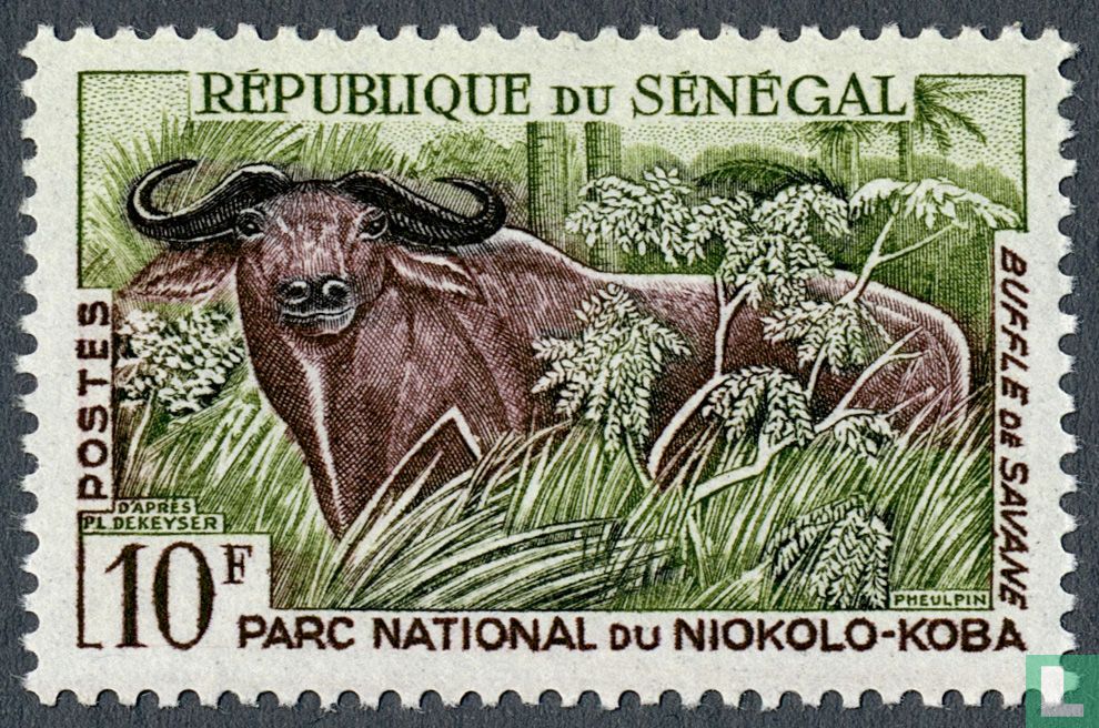 African buffalo