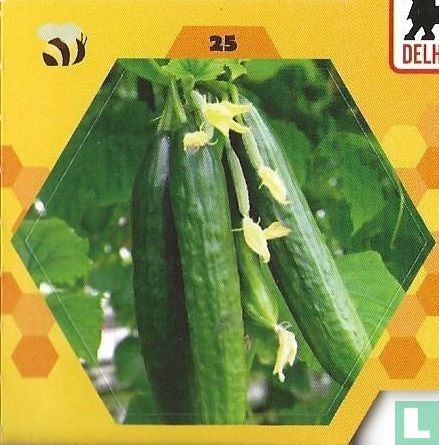 Sticker 25