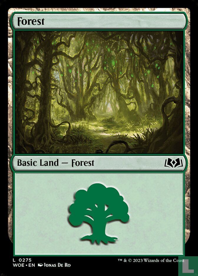 Forest