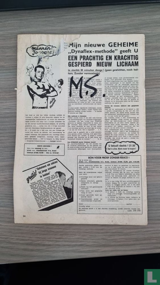 Dandy 46