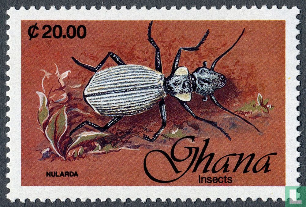 Insectes