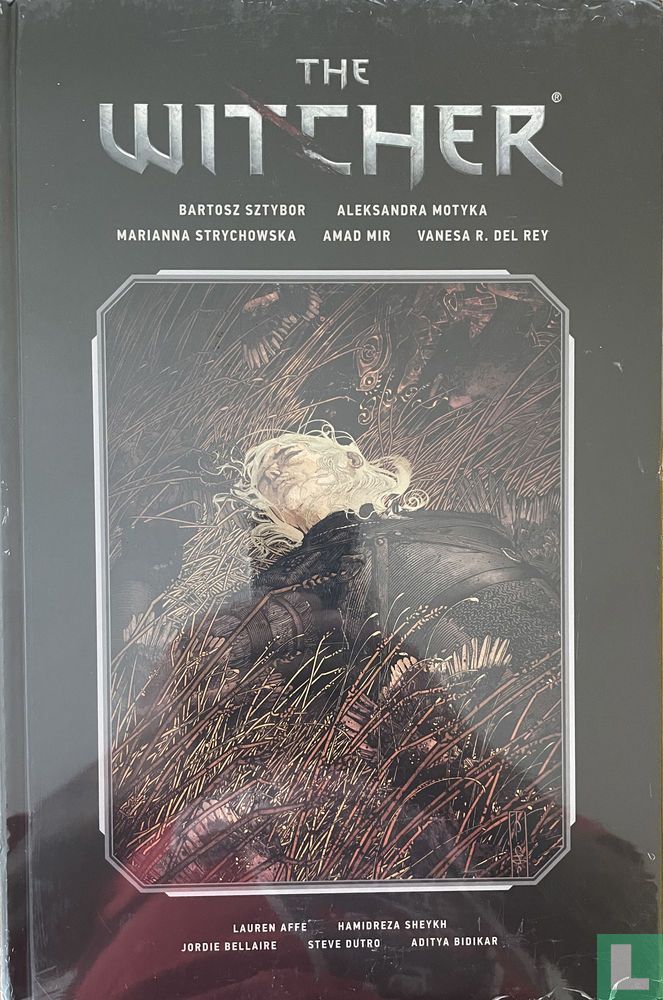 The Witcher