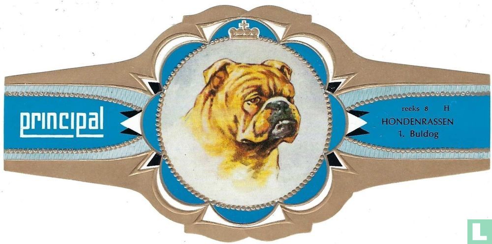Buldog