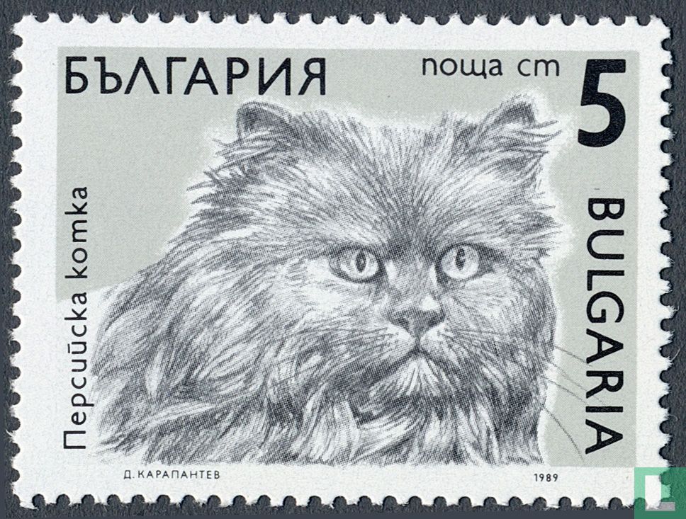 Cats