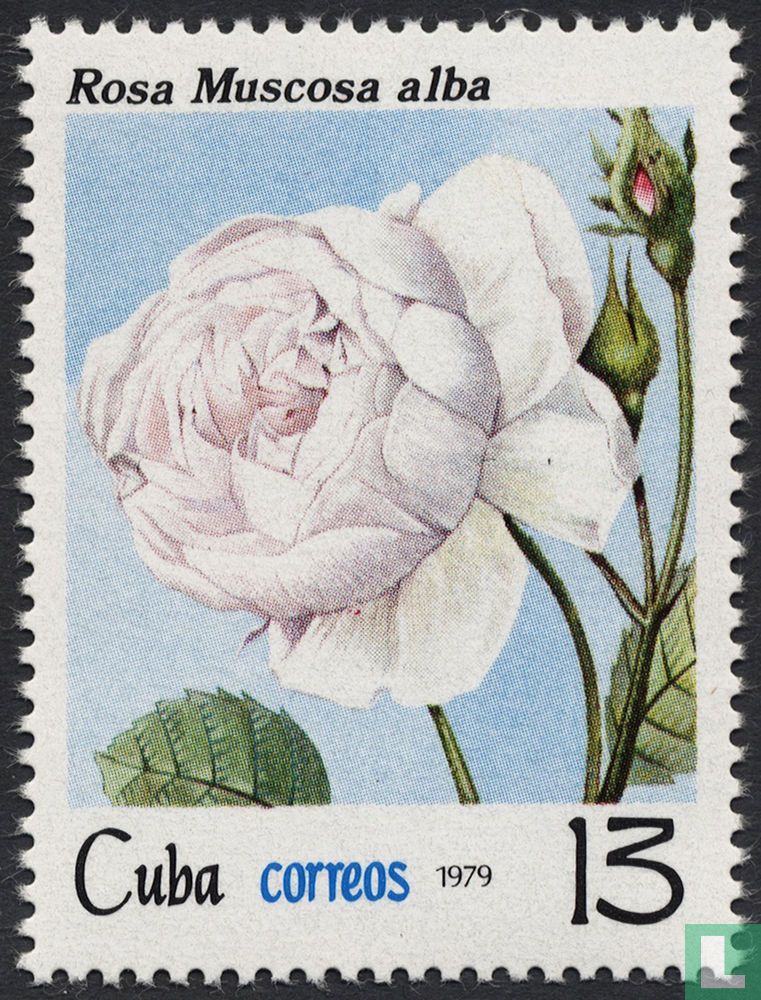 Rozen