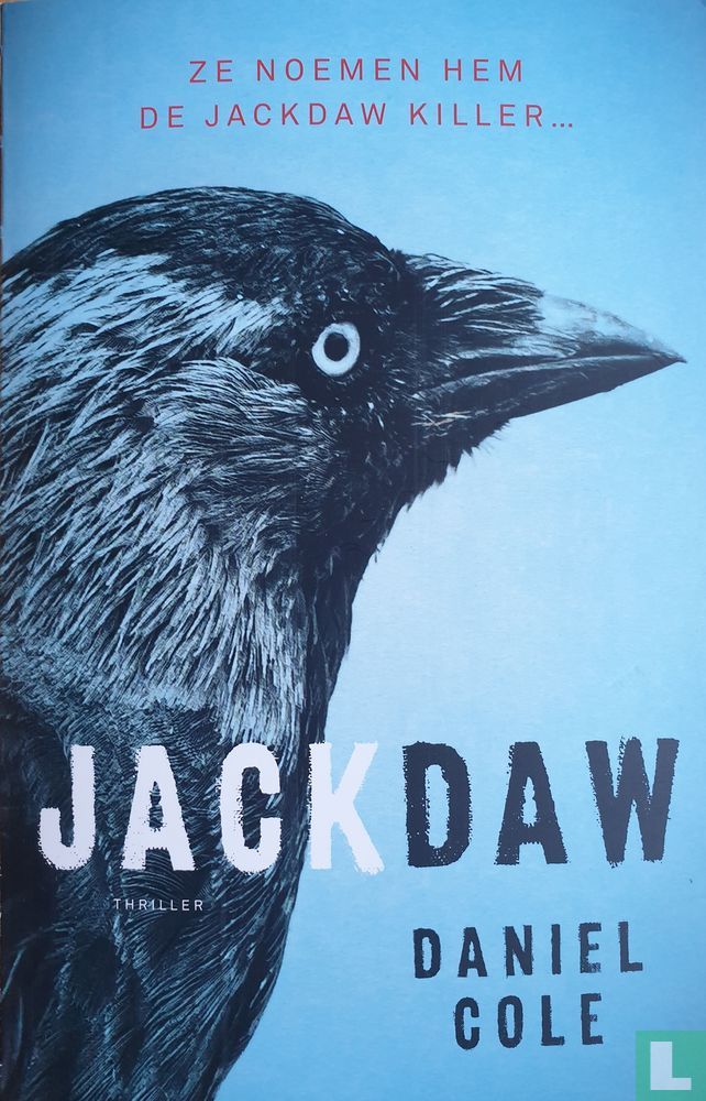 Jackdaw