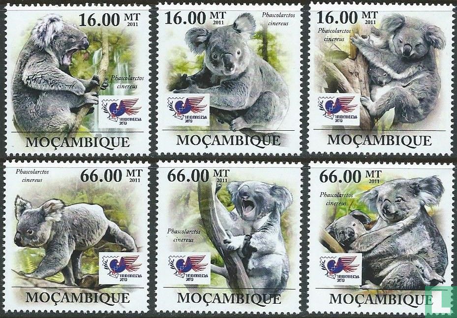 les koalas