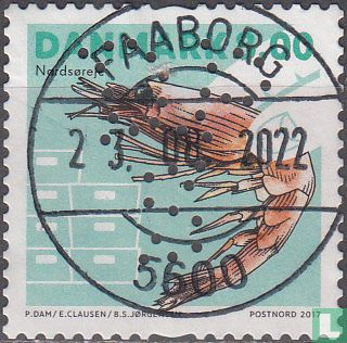 Pandalus borealis