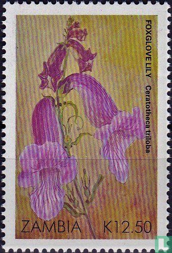Fleurs