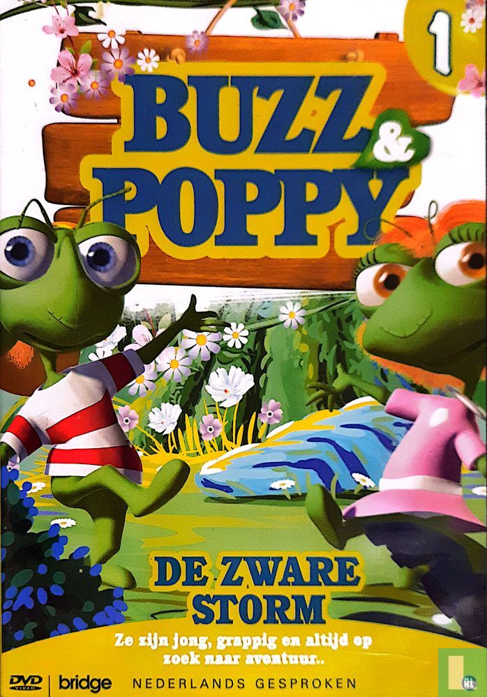 De zware storm