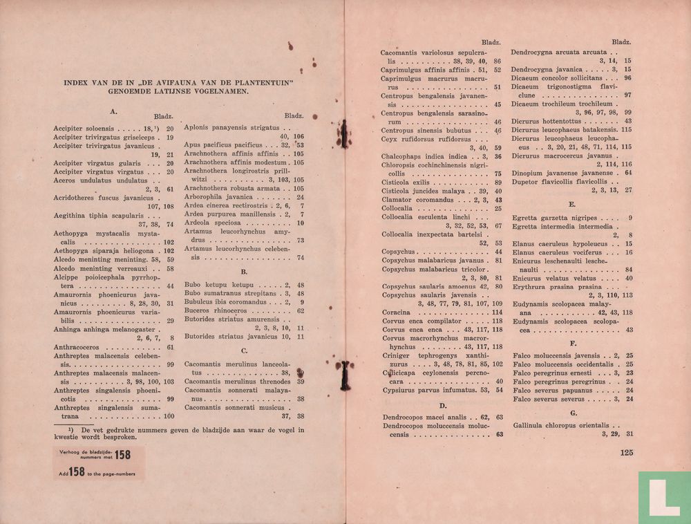 Limosa 1 - 2