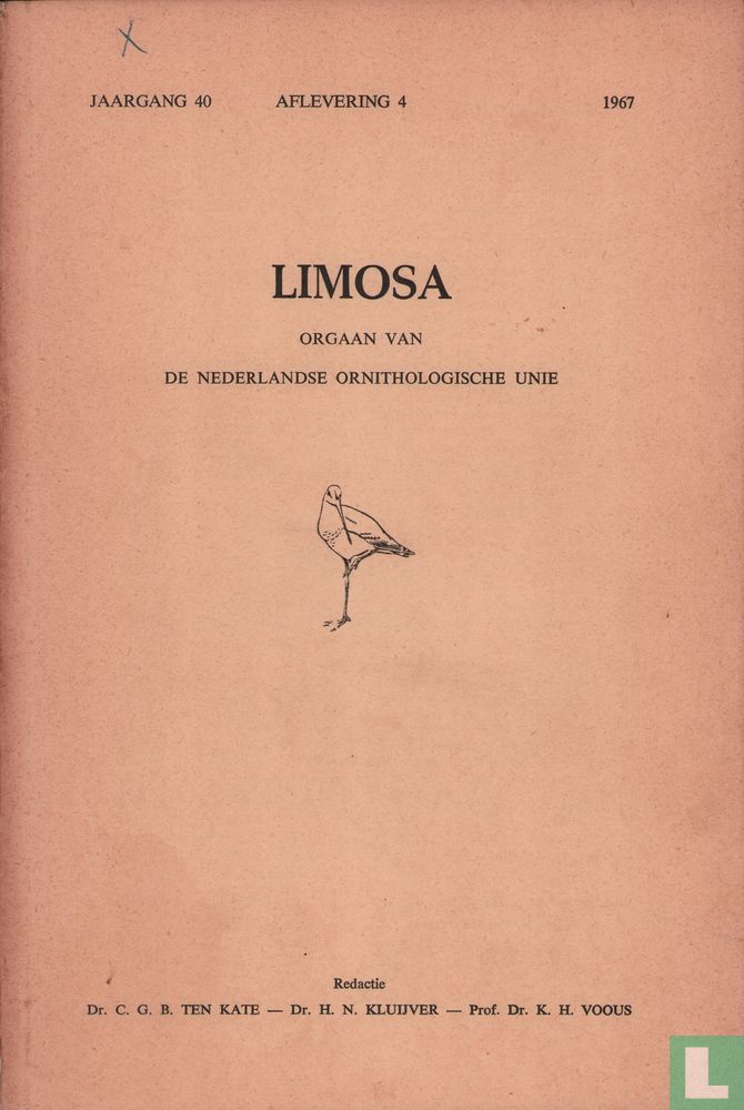 Limosa 4