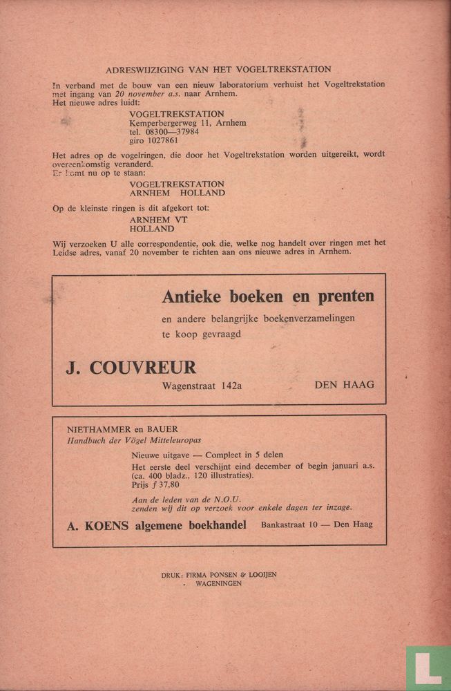 Limosa 3 - 4