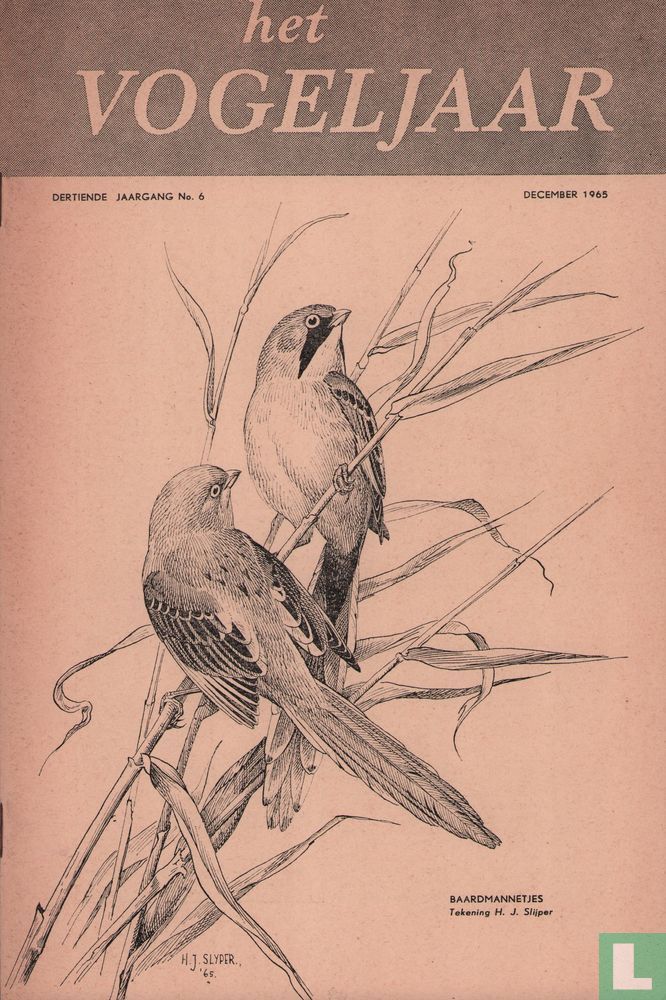Het Vogeljaar 6