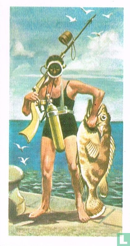 Free Diver