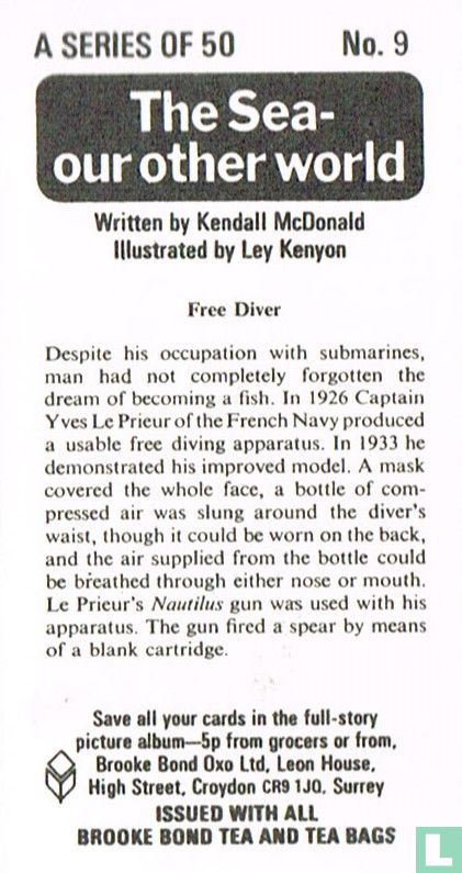 Free Diver