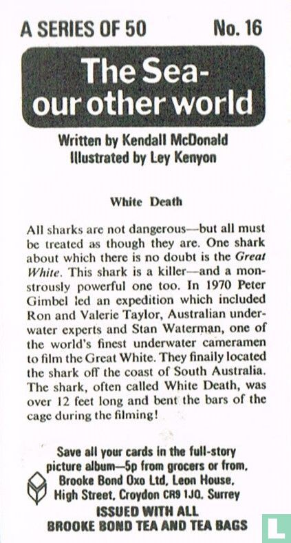 White Death