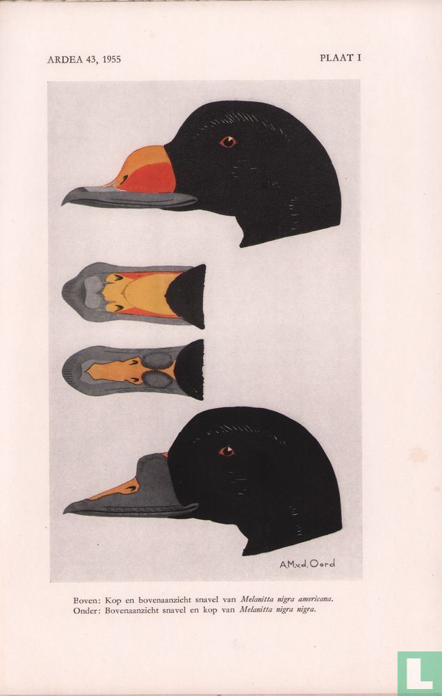 Ardea 1 - 3