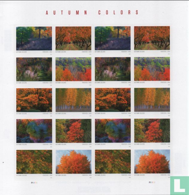 Autumn colors