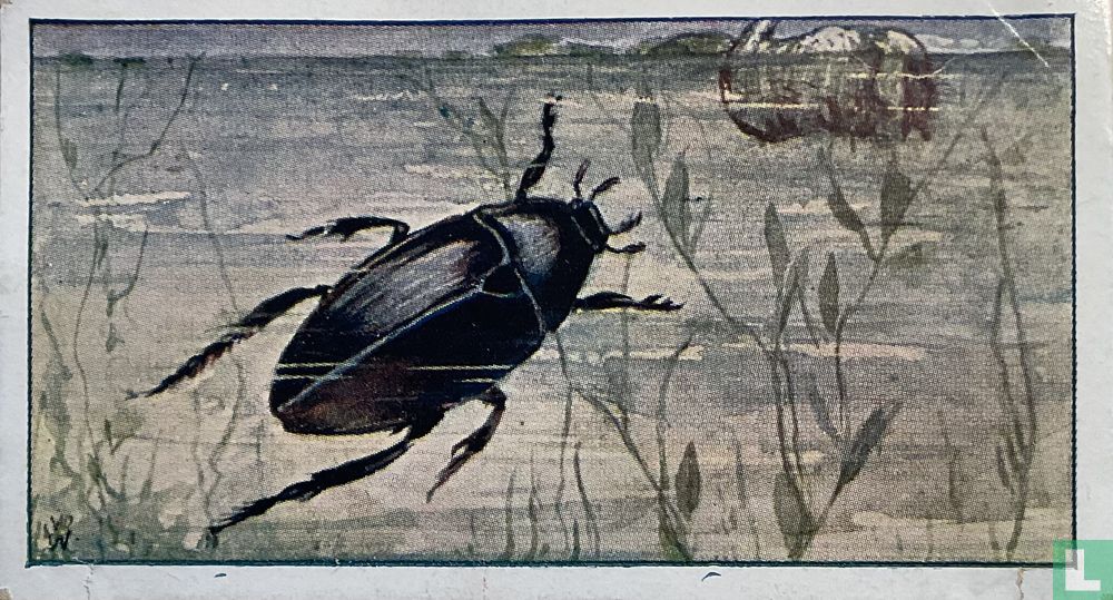 Pikzwarte Watertor