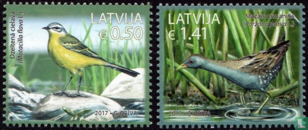 Oiseaux indigènes