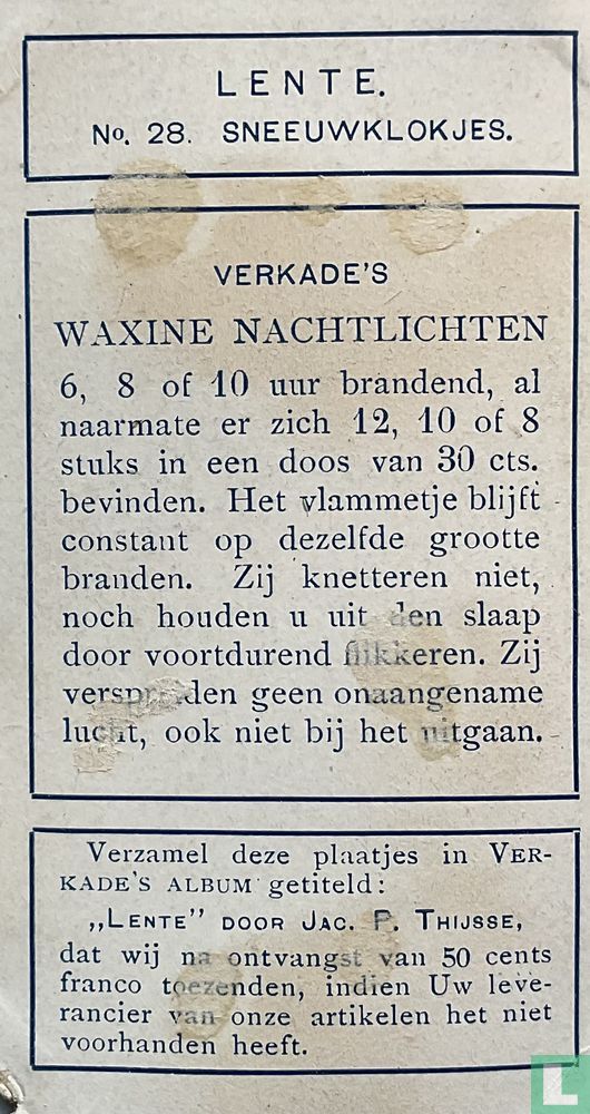 Sneeuwklokjes
