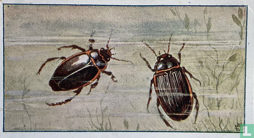 Geelgerande Watertor