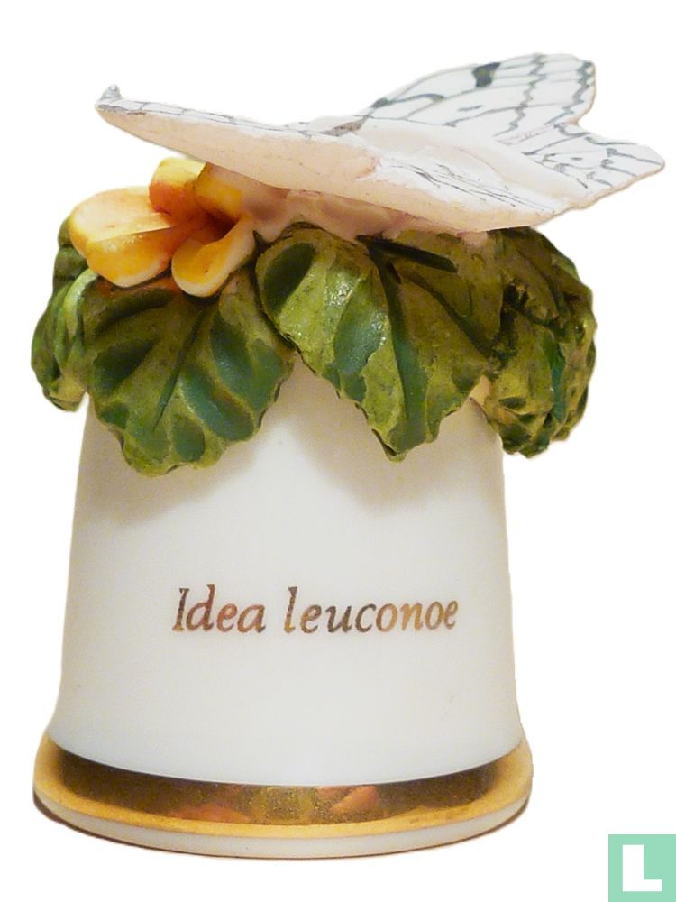 Idea Leuconoe