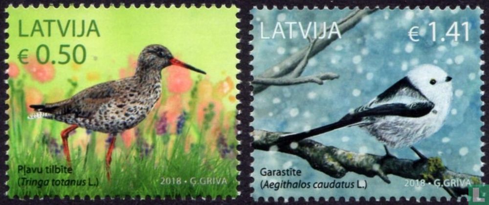 Oiseaux indigènes