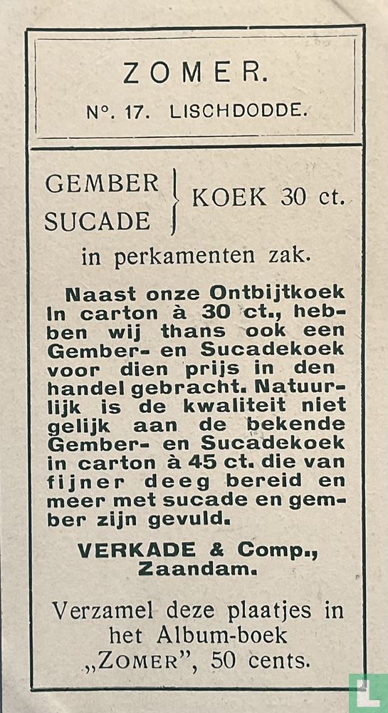 Lischdodde