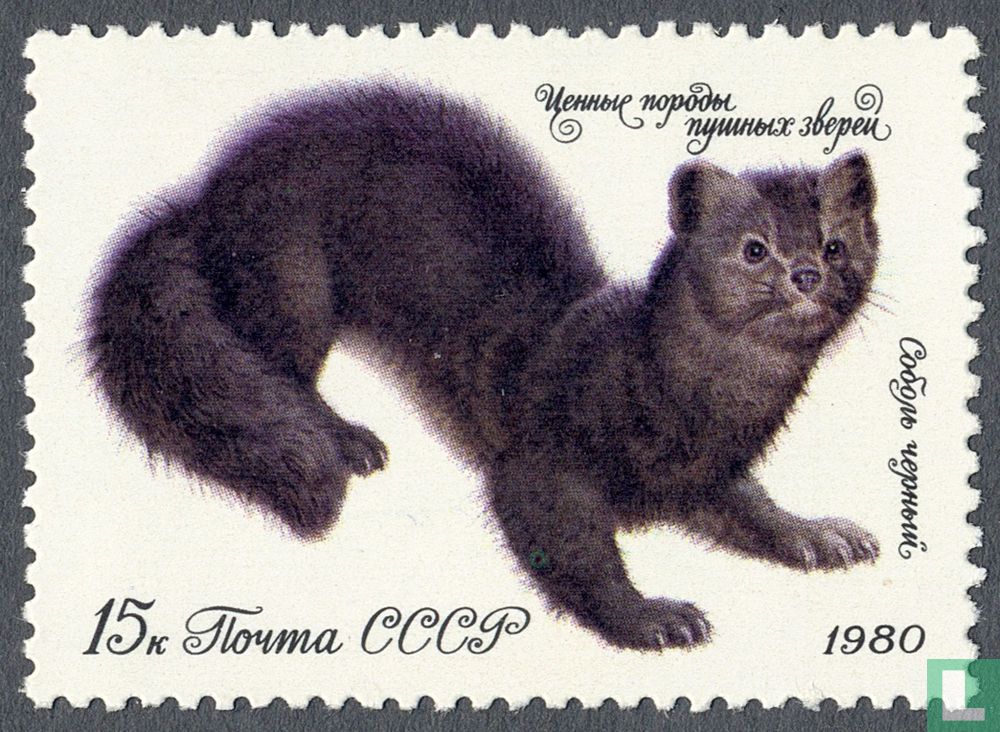 Furry animals