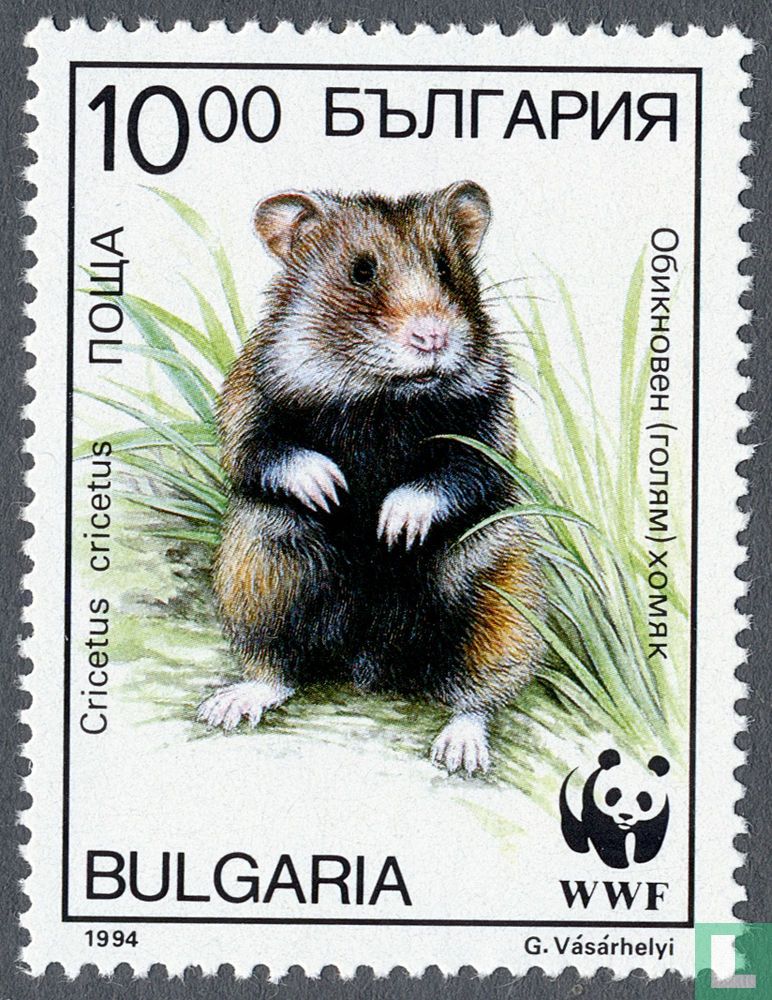 WWF - Hamster
