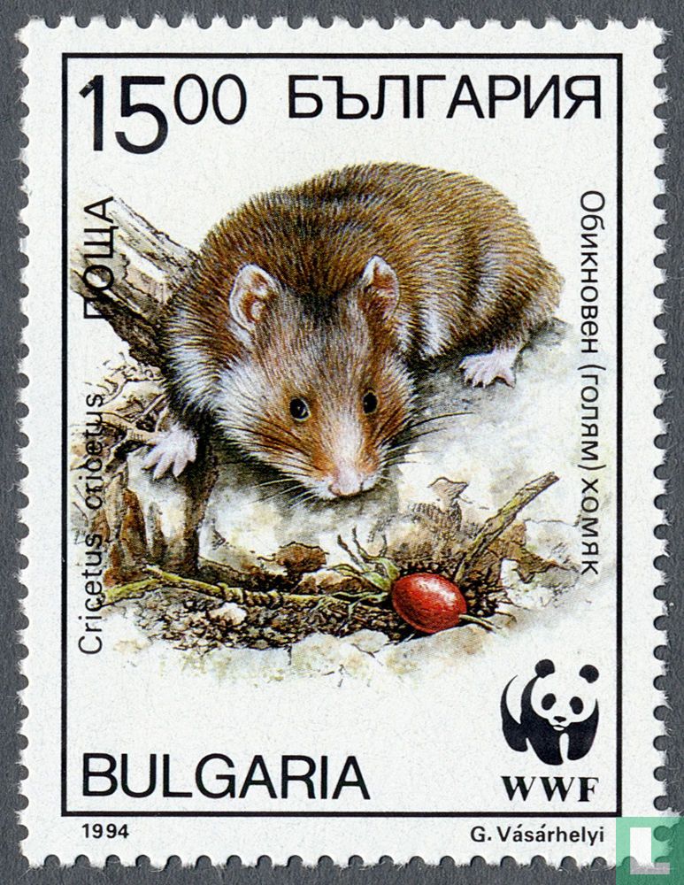 WWF - Hamster