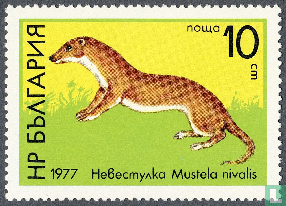Wildlife