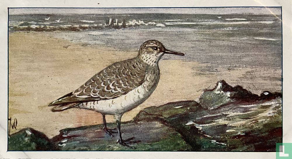 Kanoet Strandlooper