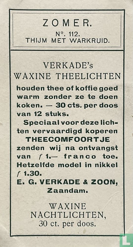 Thijm met Warkruid