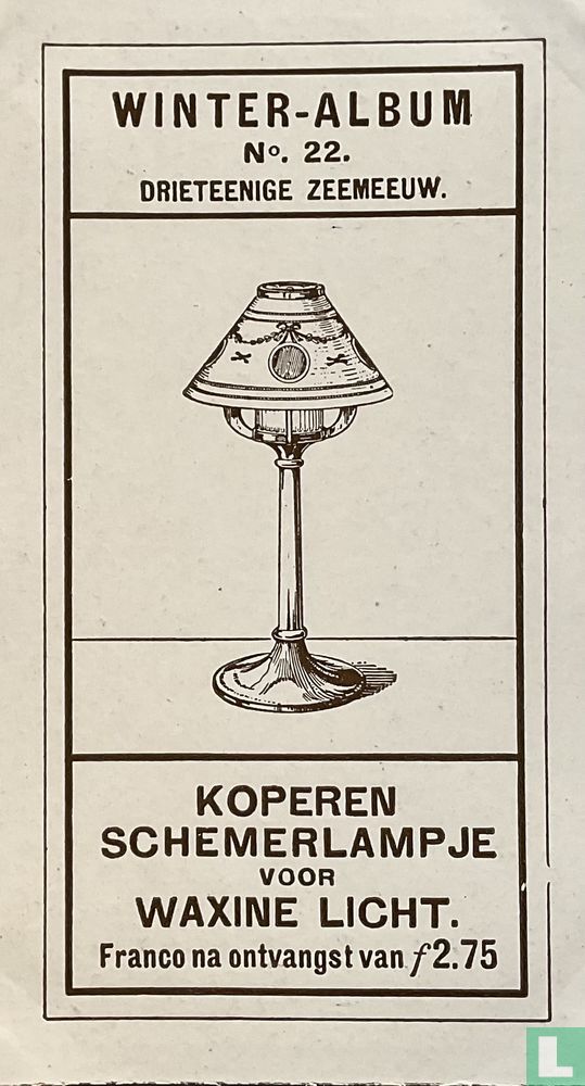 Drieteenige Zeemeeuw